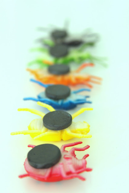 DIY für Kinder - die Käfer sind los