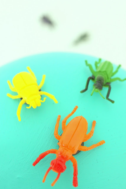 DIY für Kinder - die Käfer sind los