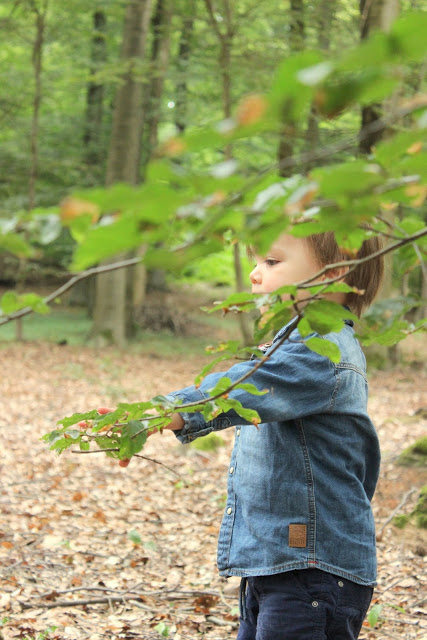 Herbstgefühle + einen Blumenkranz binden