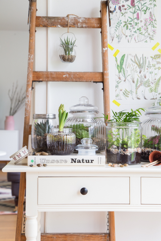 Terrarium - So holst Du Dir die Natur ins Haus