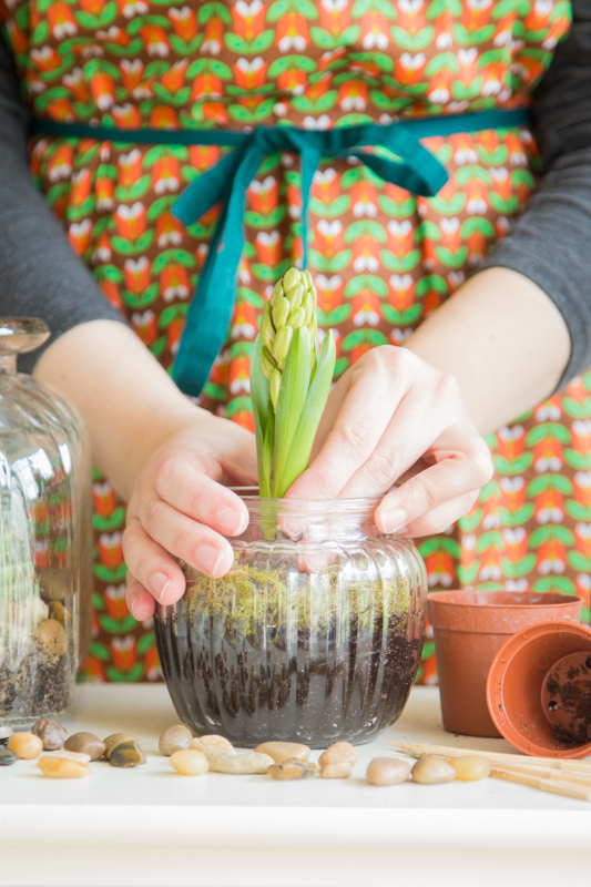 Terrarium - So holst Du Dir die Natur ins Haus