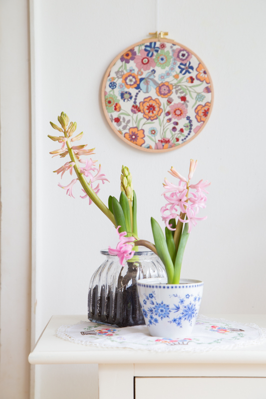 Terrarium - So holst Du Dir die Natur ins Haus