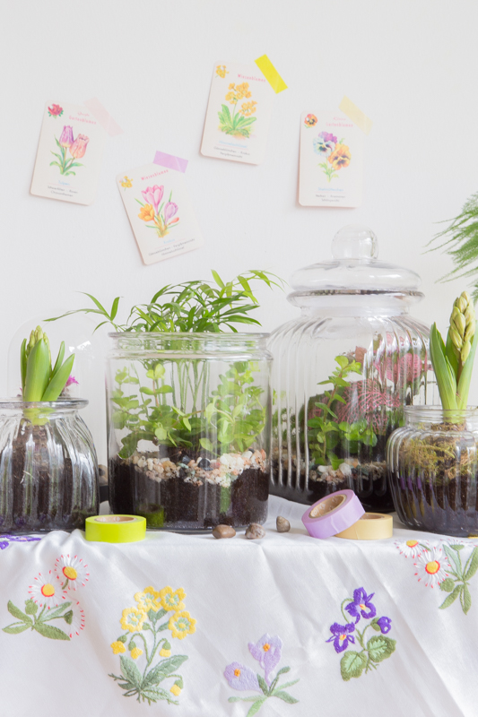Terrarium - So holst Du Dir die Natur ins Haus