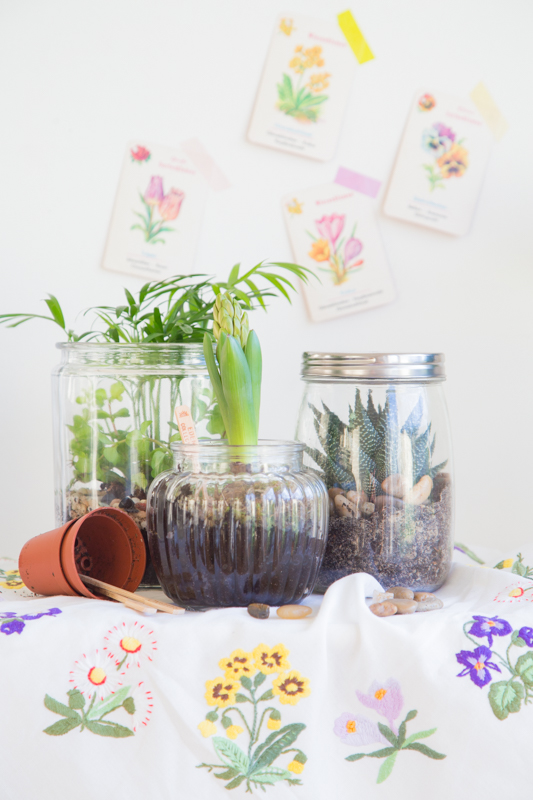 Terrarium - So holst Du Dir die Natur ins Haus