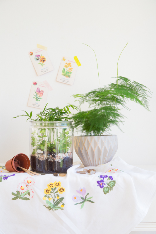 Terrarium - So holst Du Dir die Natur ins Haus