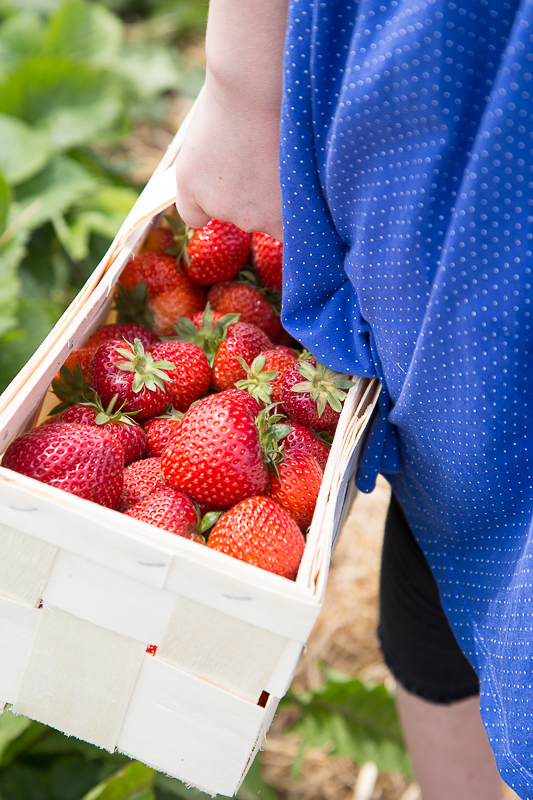 Sommer + Erdbeeren = Marmelade