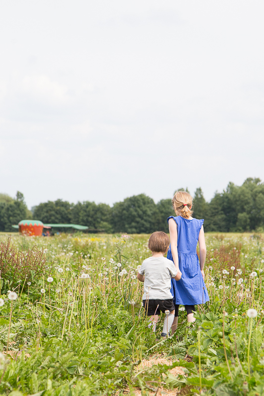 Sommer + Erdbeeren = Marmelade