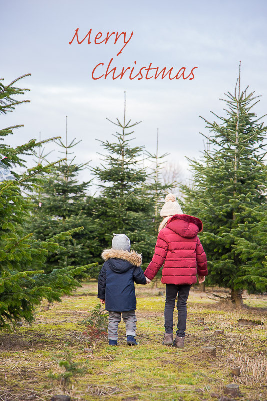 Anhänger für Weihnachtsbaum und Geschenke aus Salzteig selber machen