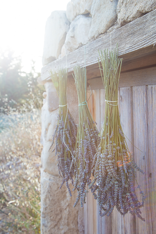 Selbstgemacht - Duftsäckchen mit Lavendel mal anders