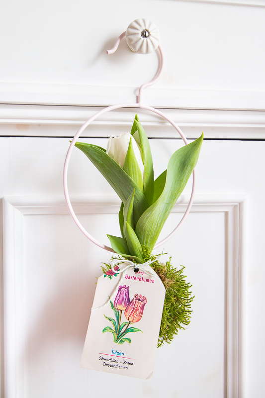 Na ist denn schon Frühling? - mit Blumenzwiebeln dekorieren