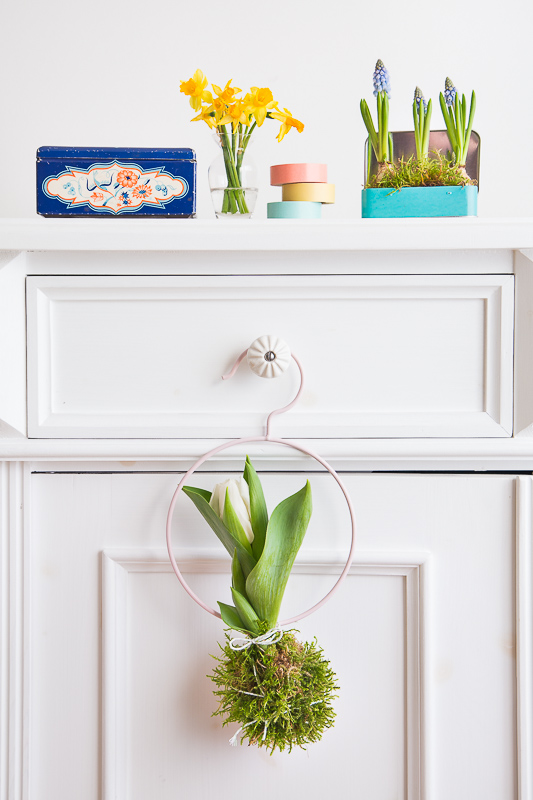 Na ist denn schon Frühling? - mit Blumenzwiebeln dekorieren