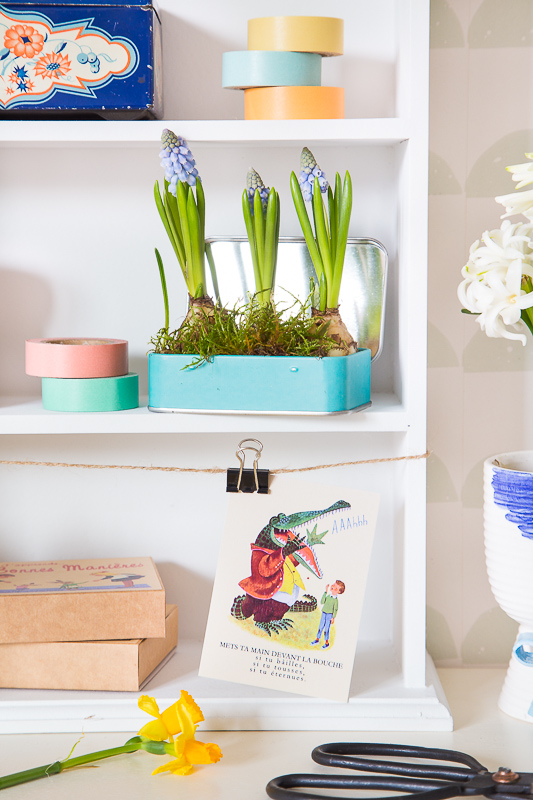 Na ist denn schon Frühling? - mit Blumenzwiebeln dekorieren