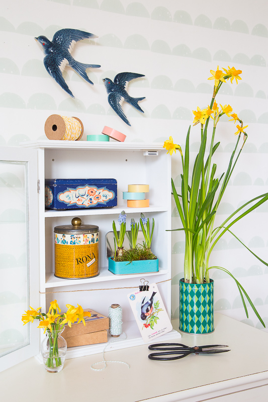 Na ist denn schon Frühling? - mit Blumenzwiebeln dekorieren