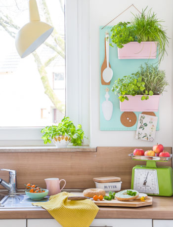 Ein trendiges Kräuterregal für die Küche zum Selberbauen