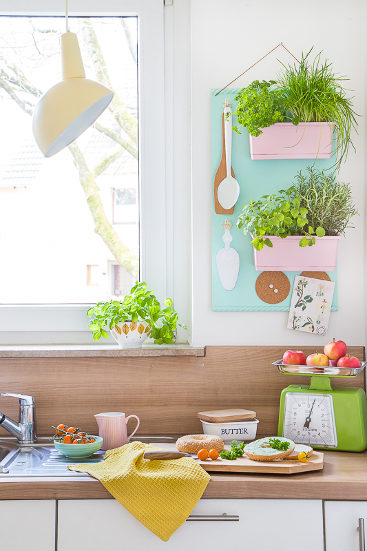 Ein trendiges Kräuterregal für die Küche zum Selberbauen