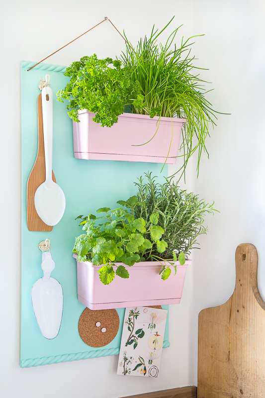 Ein trendiges Kräuterregal für die Küche zum Selberbauen