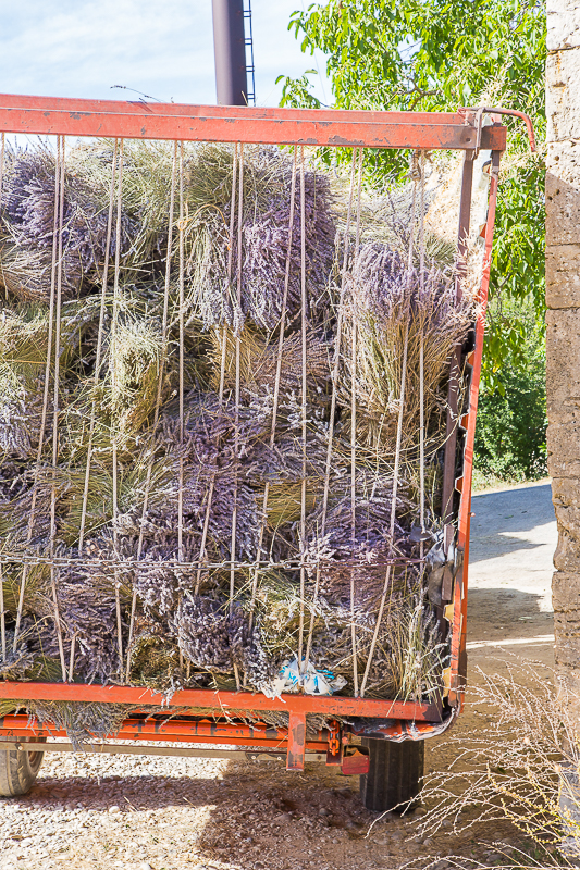 Du wunderschöne Provence - ein Sommer in Frankreich