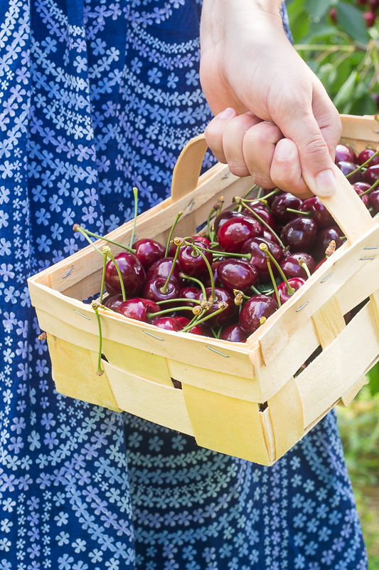 Geschenkidee - Kirschmarmelade selbermachen und verpacken