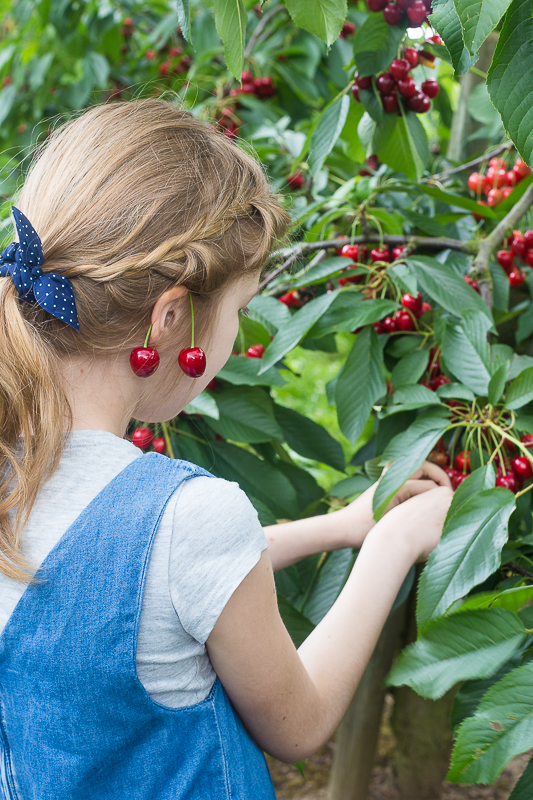 Geschenkidee - Kirschmarmelade selbermachen und verpacken