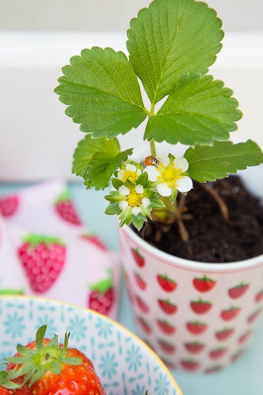 Ikea Hack - einen Pflanztisch schnell selberbauen