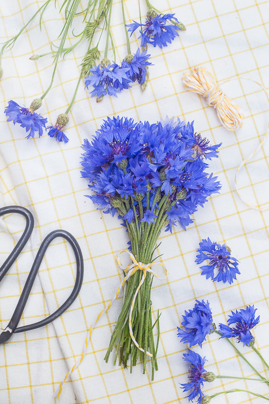 Verzauber deine Gerichte - Geschenkideen mit Kornblumen