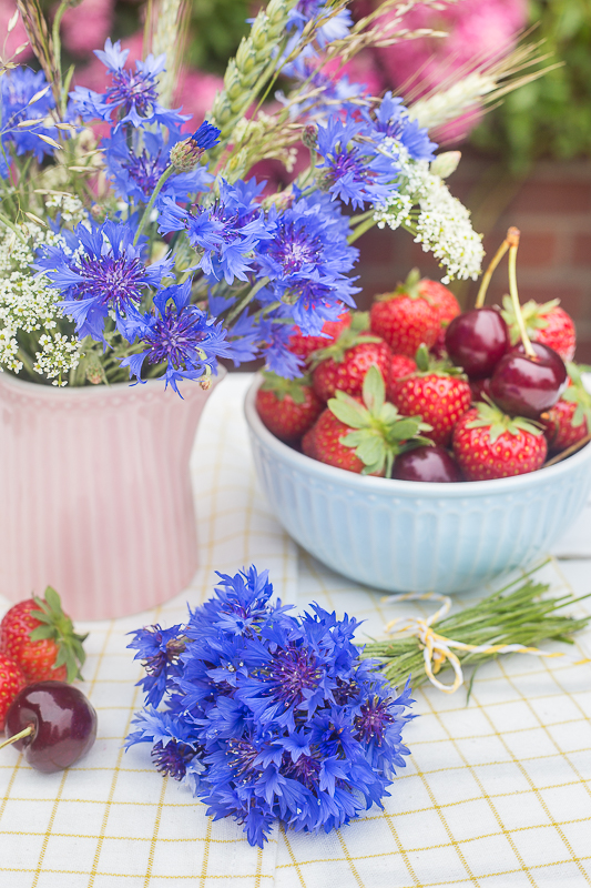 Verzauber deine Gerichte - Geschenkideen mit Kornblumen