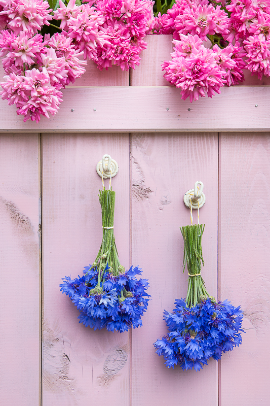 Verzauber deine Gerichte - Geschenkideen mit Kornblumen