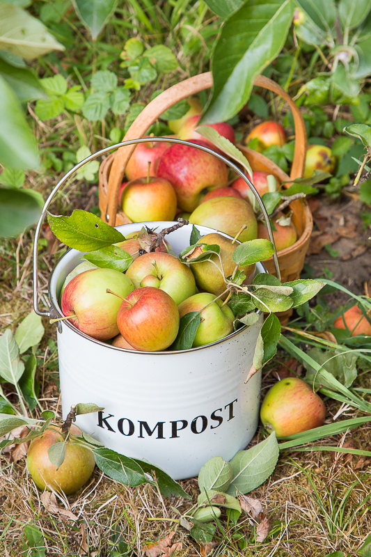 DIY - eine süße Girlande zur Apfelzeit basteln