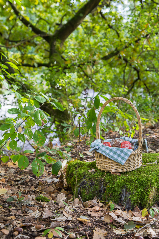 Herbstliche Pilz Kekse mit Haselnuss