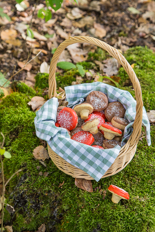 Herbstliche Pilz Kekse mit Haselnuss