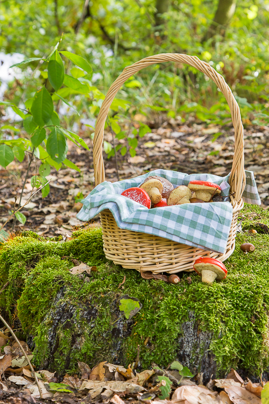 Herbstliche Pilz Kekse mit Haselnuss