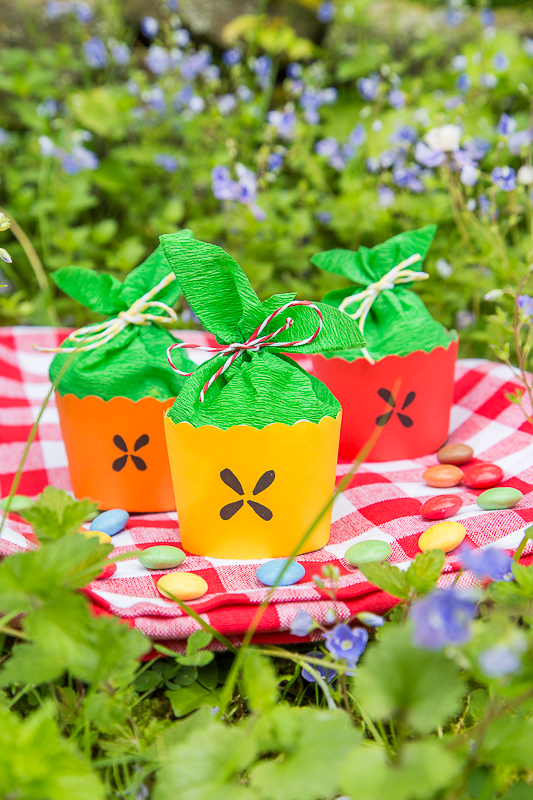 Ein Picknick Kindergeburtstag feiern mit kreativen Ideen