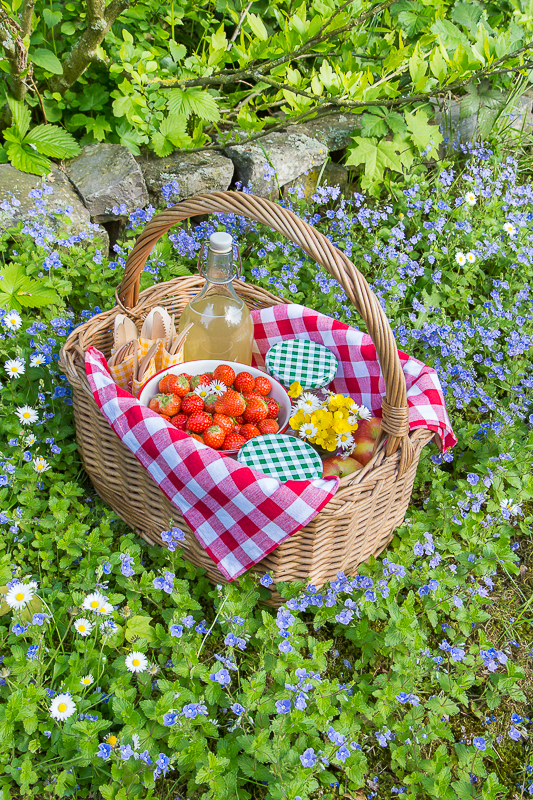 Ein Picknick Kindergeburtstag feiern mit kreativen Ideen