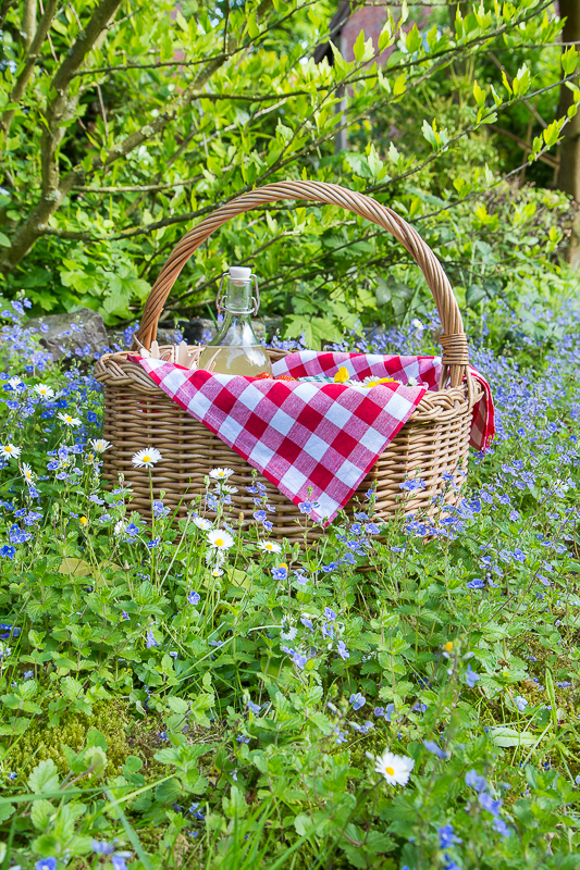 Ein Picknick Kindergeburtstag feiern mit kreativen Ideen