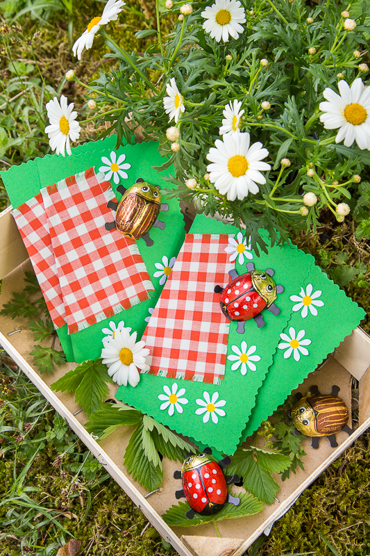 Ein Picknick Kindergeburtstag feiern mit kreativen Ideen