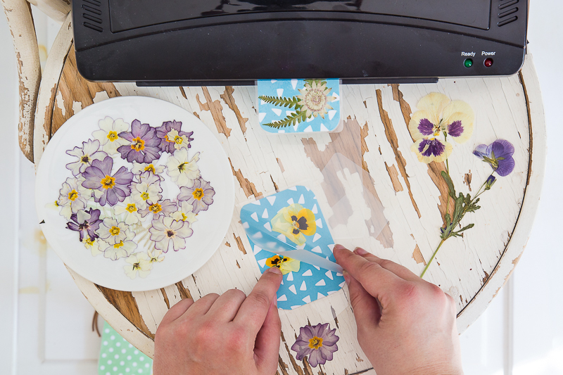 Kofferanhänger mit gepressten Blumen selber machen