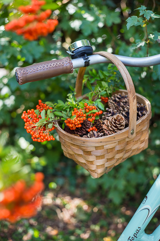 Märchenhaftes Basteln mit Tannenzapfen