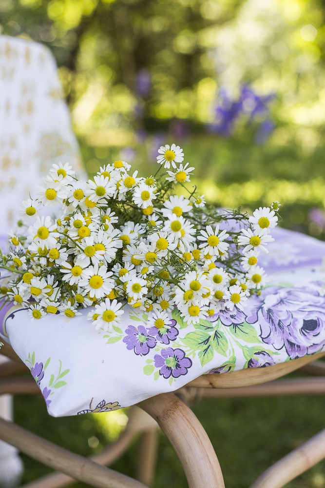 Mittsommer – einfache Ideen für deine Sommerparty