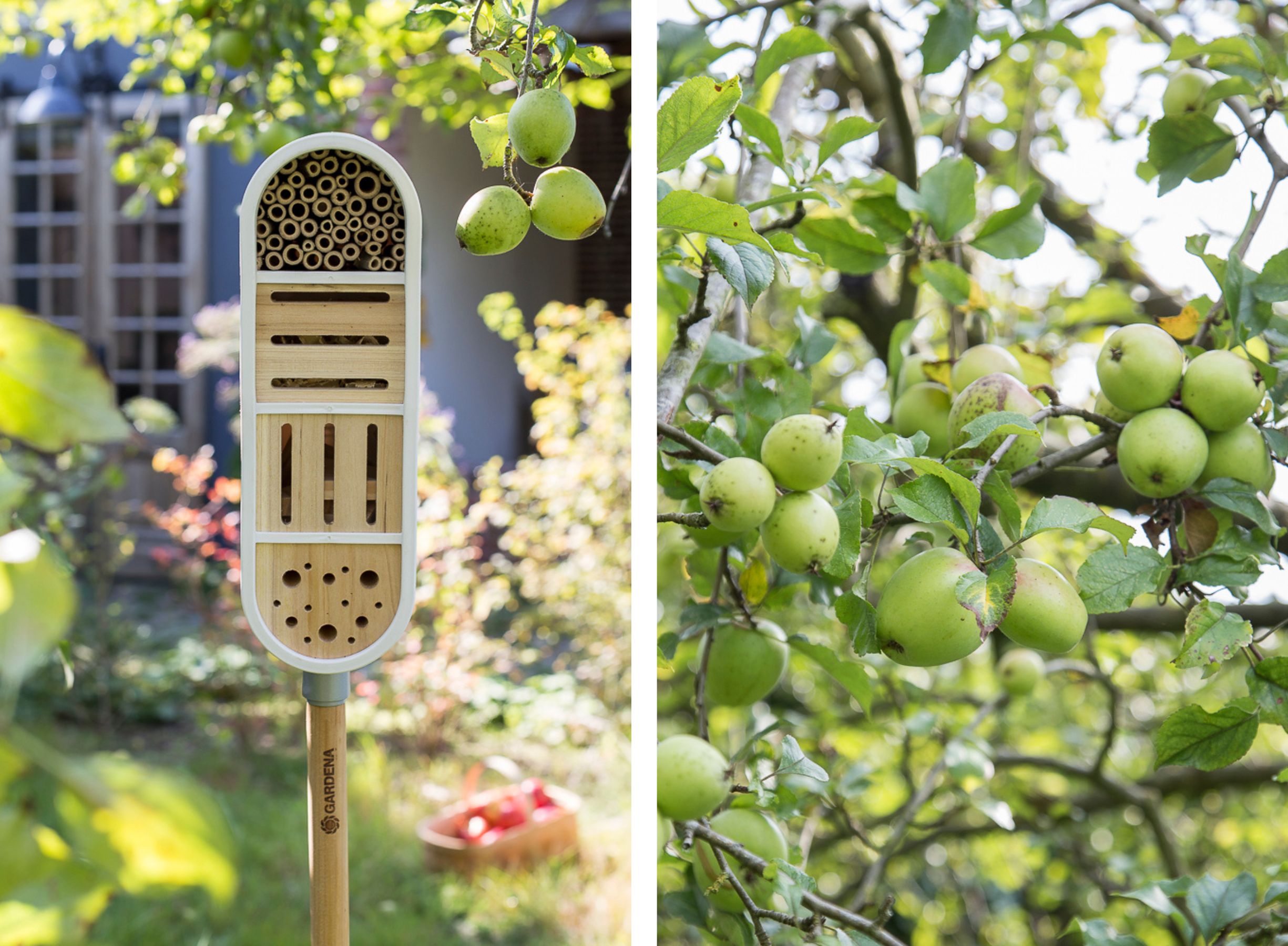 Gartenträume - Wie ich unseren Garten gestalten