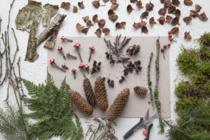 Lichterhäuschen - Ein Adventskranz aus dem Wald